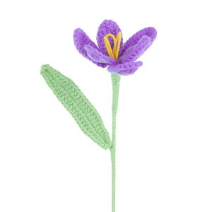 PATIKIL NVFt[  ҂ݕI[v`[bvlHDtFCNt[ Xet o^CMtg z[EFfBOp[eB[ItBXe[ufR[V p