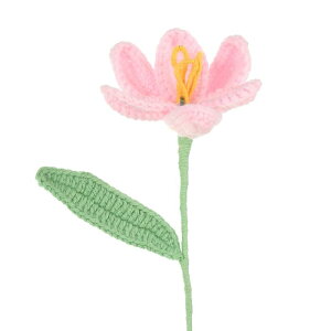 PATIKIL NVFt[  ҂ݕI[v`[bvlHDtFCNt[ Xet o^CMtg z[EFfBOp[eB[ItBXe[ufR[V s