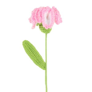 PATIKIL NVFt[  ҂ݕJ[l[ VlHDtFCNt[ Xet o^CMtg z[EFfBOp[eB[ItBXe[ufR[V zCg