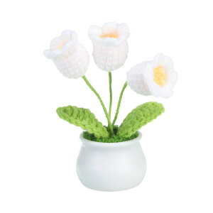 PATIKIL NVFt[ ҂3{ XYlH҂ݏȔA o^CMtg ƒ  p[eB[ ItBX e[up zCg