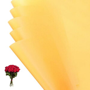 PATIKIL ԃMtg 20hu[Pp\bhJ[bvt[Xgy[p[ EFfBODIYNtgƎo^C̓ CG[