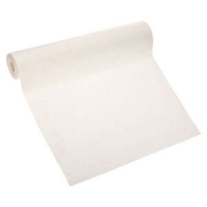 PATIKIL 鎆[ 65.6tB[g×13.8"  Kp _t F