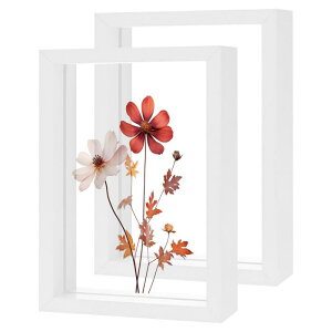 M METERXITY 2�p�b�N�̖ؐ��v���X�h�t�����[�t���[���A4 x 6�C���`�̃_�u���A�N���������s�N�`���[�t���[���A�h���C�t�����[/�e�[�u���g�b�v/DIY/��|�p[�z���C�g]