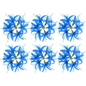 M METERXITY ���ԃw�b�h�i5�C���`/13cm�A�u���[�j6���� - �V���N���X �p�C�_�[�����[�̐l�H�ϗt�A���ADIY�N���t�g/�E�F�f�B���O/�p�[�e�B�[/����/�z�[���f�R���[�V�����p