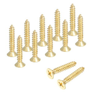 �^�J���t�B���b�v �X�؂˂� M5×25mm �^�J���t�B���b�v �X�����؂˂� �Z���t�^�b�s���O �Ƌ�p�ڑ��l�W �h�A�q���W�A�؍H�N���t�g�ADIY�v���W�F�N�g�p(���g�[���A12�{����)