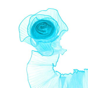 5.5C` × 5[h t v[c I[KU g F v[c [X g { | [X n g DIY Ntg hX  EFfBO Mtg z[ fR[V 