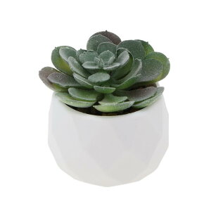 CAPASTEC tFCNO[ CeAO[ A lH bsv  ~j A fR[V  fXN oX[ Lb` Type 5