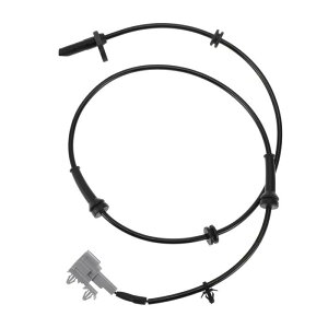 Partuto ABSzC[Xs[hZT[No.479009CA3AAEABSZT[A`bNu[LVXeZT[jbTXterra 2005-2012