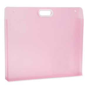 CAPASTEC A[g|[gtHItH_[APPA[g|[gtHIW/nhAhA[g[P[XAOXPb`ʐ^pA33x28cmACgsN