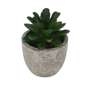 CAPASTEC tFCNO[ CeAO[ A lH bsv  ~j A  킢  fXN oX[ Lb` Type 3