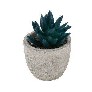 CAPASTEC tFCNO[ CeAO[ A lH bsv  ~j A fR[V 킢  fXN oX[ Lb` Type 5