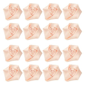 16̃{oA2C`̃Yy sATe{t[[YADIYNtgp̐lHt@ ubNt[AANZT[EFfBOMtgfR[VpAC