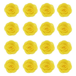 16̃t@ ubNoA2C`̃Yy sATe[YADIYNtgpANZT[ADAbsOAEFfBOMtgfR[VACG[