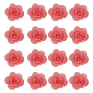 16̃t@ ubNoA2C`̃Yy sATe[YADIYNtgpANZT[ADAbsOAEFfBOMtgfR[VACgsN