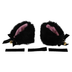 A ABSOPRO I[goCwbgpANZT[fR[V t@[ [C[Y xt I[goC ] XL[ wbgp ubN sN vbV XebJ[ 1Zbg