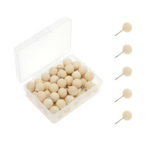 CAPASTEC e т傤 s ؐ p ItBX wK Œp fHp [P[Xt 60 {[