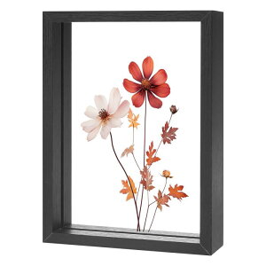 M METERXITY �ؐ��v���X�h�t�����[�t���[���A5 x 7�C���` �_�u���A�N���������s�N�`���[�t���[���i������/�e�[�u���g�b�v/DIY/��|�p�j[��]