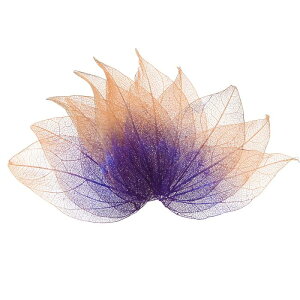 M METERXITY 200pbÑXPg[tAVRSc[̊tAW/DIYNtgJ[h/XN bvubN/EFfBOpAȗt̑[4-6cmAp[vR[q[]