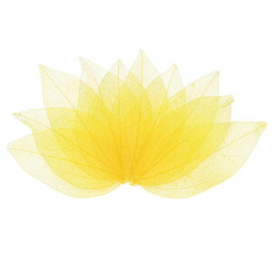 M METERXITY 100pbÑXPg[tAVRSc[̊tAW/ DIYNtgJ[h/XN bvubN/EFfBOpAȗt̑[4-6cmA_[NCG[ƃCgCG