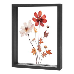 M METERXITY �ؐ��v���X�h�t�����[�t���[���A6 x 8�C���` �_�u���A�N���������s�N�`���[�t���[���i������/�e�[�u���g�b�v/DIY/��|�p�j[��]