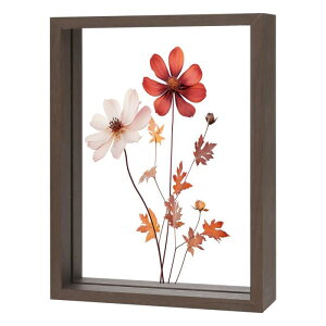 M METERXITY �ؐ��v���X�h�t�����[�t���[���A6 x 8�C���`�̃_�u���A�N���������t���[���A�h���C�t�����[/�e�[�u���g�b�v/DIY/��|�p�y�E�H�[���i�b�g�J���[�z