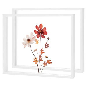 M METERXITY 2�p�b�N�̖ؐ��v���X�t�����[�t���[���A10 x 12�C���`�̃_�u���A�N���������s�N�`���[�t���[���A�h���C�t�����[/�e�[�u���g�b�v/DIY/��|�p[�z���C�g]