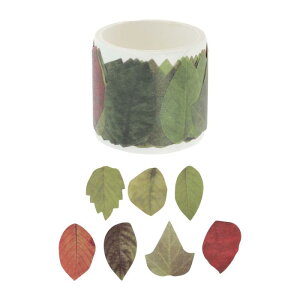 CAPASTEC 蒠V[ XebJ[  ť` a DIY  m[gV[ L pXebJ[ 蒠p \Ă͂ 1 KW}̗t