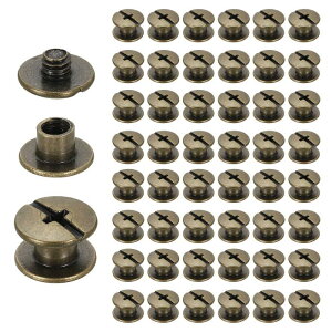 50�Z�b�g �V�J�S�X�N�����[ M5 x 4mm 16mm ���� ���� �t�B���b�v �X �l�C�� ���x�b�g �X�^�b�h �X�N�����[ �{���g ���x�b�g �o�C���f�B���O �|�X�g �X�N�����[ DIY ���U�[ �x���g �o�b�O �N���t�g 