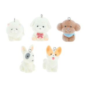 RENEWREVITAL ~ju ~j`A I[ig 5 Zbg  tBMA tbNH  DIY  ItBX ԓ  蕨 i ~  CtbL[q