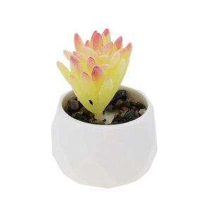 CAPASTEC tFCNO[ CeAO[ A lH bsv  ~j A fR[V 킢  fXN oX[ Lb` Type 8