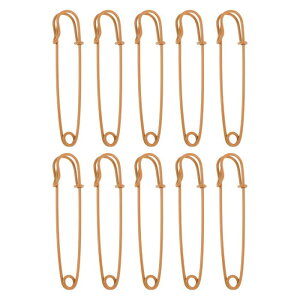 CAPASTEC Ss EGXgNbv ANZTp[c JtȓhꂽACAs z[\[CONtgobOANZT[p̃u[`oN 7.5cm IW 10