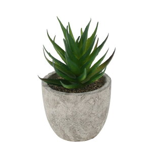 CAPASTEC tFCNO[ CeAO[ A lH bsv  A fR[V  킢  fXN oX[ Lb` Type 8