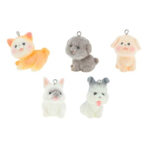 RENEWREVITAL ~ju ~j`A I[ig 5 Zbg  tBMA tbNH  DIY  ItBX ԓ  蕨 i ~  BtbL[q