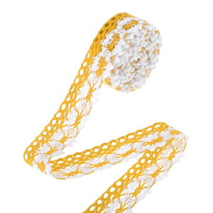 CAPASTEC 2[h×0.79C `[Xg ȃ[X{ NX}X |pp[c { ٖDޗ EFfBO uC_hX RX`[Ntgpre[W CG[