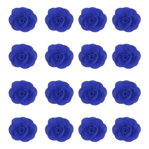 16̃t@ ubNoA2C`̃Yy sATe[YAlHԁADIYNtgpANZT[ADAbsOAEFfBOMtgfR[VAu[