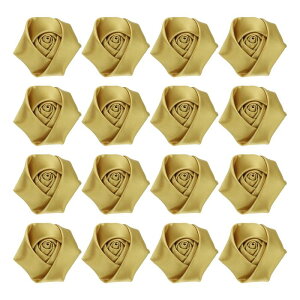 16̃{oA2C`̃Yy sATe{t[[YADIYNtgp̐lHt@ ubNt[AbsOEFfBOMtgfR[VA