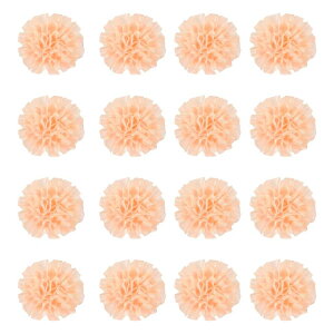 16̃{sIj[A2C`̃Yy sATe{t[sIj[AlHt@ ubNt[ADIYNtgANZT[ADEFfBOMtgfR[V