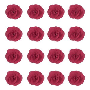 16̃t@ ubNoA2C`̃Yy sATe[YADIYNtgpANZT[ADEFfBOMtgfR[VA邢sN