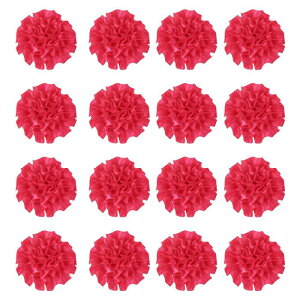 16̃{sIj[A2C`̃Yy sATe{t[sIj[AlHt@ ubNt[ADIYNtgANZT[ADMtgpA[Ybh