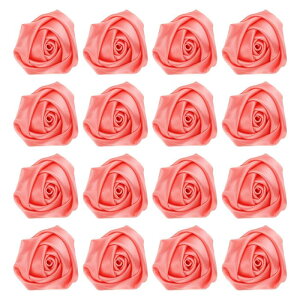 16̃{oA2C`̃Yy sATe{t[[YADIYNtgp̐lHt@ ubNt[AbsOEFfBOMtgfR[VAs[`