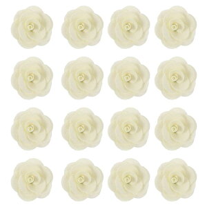 16̃t@ ubNoA2C`̃Yy sATe[YADIYNtgpANZT[ADAbsOAEFfBOMtgfR[VAx[W