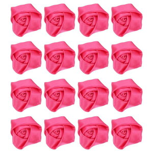 16̃{oA2C`̃Yy sATe{t[[YADIYNtgp̐lHt@ ubNt[AANZT[EFfBOMtgfR[VpA