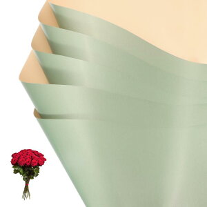 PATIKIL ԃMtg 20ʖhu[Pt[XgpbP[WOt[y[p[ EFfBODIYNtgo^C̓ 