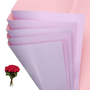 PATIKIL ԃMtg 20 ʖhu[Ppt[XgpbP[WOt[y[p[ EFfBODIYNtgo^C̓p _[Np[v