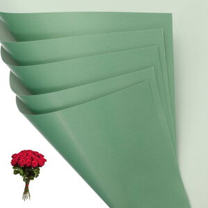 PATIKIL ԃMtg 20 ʖhu[Ppt[XgpbP[WOt[y[p[ EFfBODIYNtgo^C̓p _[N