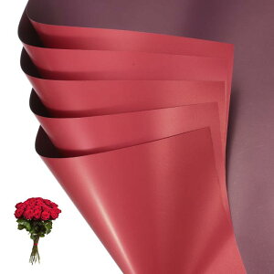 PATIKIL ԃMtg 20ʖhu[Pt[XgpbP[WOt[y[p[ EFfBODIYNtgo^C̓ 