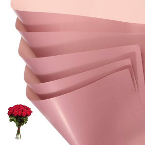 PATIKIL ԃMtg 20 ʖhu[Ppt[XgpbP[WOt[y[p[ EFfBODIYNtgo^C̓p _[NsN