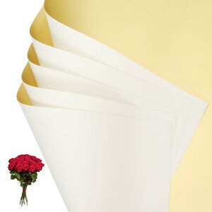 PATIKIL �ԃM�t�g��� 20�� ���ʋ��F�h���u�[�P�p����t���[���X�g�p�i�p�b�P�[�W���O�t���[�����y�[�p�[������DIY�N���t�g�o�����^�C���p �z���C�g/���F