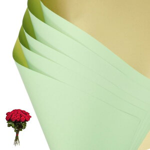 PATIKIL �ԃM�t�g��� 20�� ���ʋ��F�h���u�[�P�p����t���[���X�g�p�i�p�b�P�[�W���O�t���[�����y�[�p�[������DIY�N���t�g�o�����^�C�� �V�A��/���F