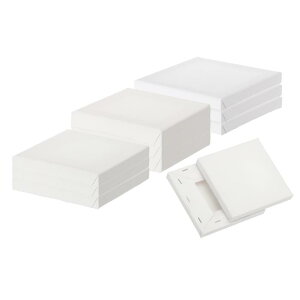 PATIKIL GpLoXA12Zbg 4x4" 5x5" 6x6" 󔒂̖ȃLoX AN G{[h GZbg ppi  G OAbV ey